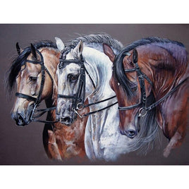 Diamantstickerei-Set "Pferde #6" | 30 cm x 40 cm - 50 cm x 70 cm