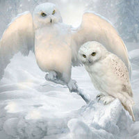 
              Diamantstickerei-Set "Schneeeulen" | 25 cm x 25 cm - 60 cm x 60 cm
            