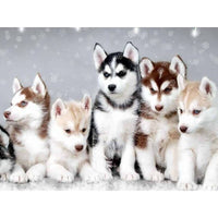 
              Diamantstickerei-Set "Husky-Welpen" | 30 cm x 40 cm - 50 cm x 70 cm
            