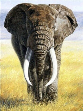Diamantstickerei-Set "Elefant #9" | 40 cm x 30 cm - 70 cm x 50 cm