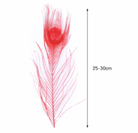 
              Pfauenfedern | 25 cm - 30 cm | 10 Stück
            