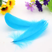 
              Gänsefedern | 13 cm - 18 cm | 100 Stück
            