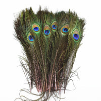 
              Pfauenfedern | 25 cm - 30 cm | 10 Stück
            