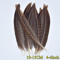 
              Federn | 3 cm - 18 cm | 20 Stück | 30 Varianten
            