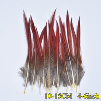 
              Federn | 3 cm - 18 cm | 20 Stück | 30 Varianten
            