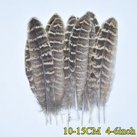 
              Federn | 3 cm - 18 cm | 20 Stück | 30 Varianten
            
