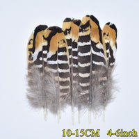 
              Federn | 3 cm - 18 cm | 20 Stück | 30 Varianten
            
