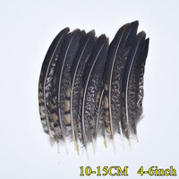 
              Federn | 3 cm - 18 cm | 20 Stück | 30 Varianten
            