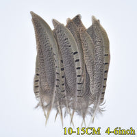 
              Federn | 3 cm - 18 cm | 20 Stück | 30 Varianten
            