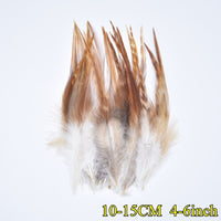 
              Federn | 3 cm - 18 cm | 20 Stück | 30 Varianten
            