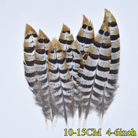 
              Federn | 3 cm - 18 cm | 20 Stück | 30 Varianten
            