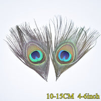 
              Federn | 3 cm - 18 cm | 20 Stück | 30 Varianten
            