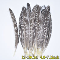 
              Federn | 3 cm - 18 cm | 20 Stück | 30 Varianten
            