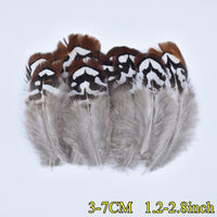 
              Federn | 3 cm - 18 cm | 20 Stück | 30 Varianten
            
