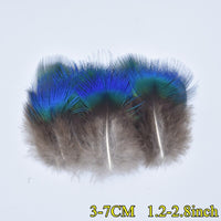 
              Federn | 3 cm - 18 cm | 20 Stück | 30 Varianten
            