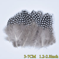 
              Federn | 3 cm - 18 cm | 20 Stück | 30 Varianten
            