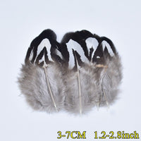 
              Federn | 3 cm - 18 cm | 20 Stück | 30 Varianten
            