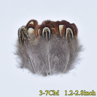 
              Federn | 3 cm - 18 cm | 20 Stück | 30 Varianten
            
