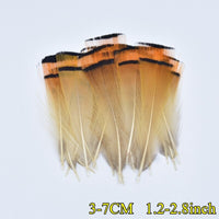 
              Federn | 3 cm - 18 cm | 20 Stück | 30 Varianten
            