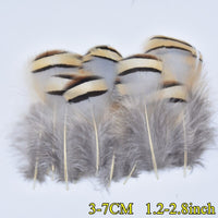 
              Federn | 3 cm - 18 cm | 20 Stück | 30 Varianten
            