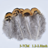 
              Federn | 3 cm - 18 cm | 20 Stück | 30 Varianten
            