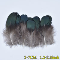
              Federn | 3 cm - 18 cm | 20 Stück | 30 Varianten
            