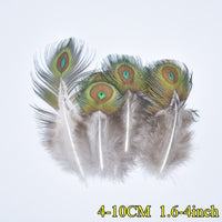 
              Federn | 3 cm - 18 cm | 20 Stück | 30 Varianten
            