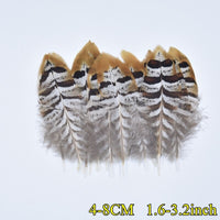 
              Federn | 3 cm - 18 cm | 20 Stück | 30 Varianten
            