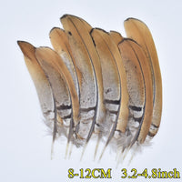 
              Federn | 3 cm - 18 cm | 20 Stück | 30 Varianten
            